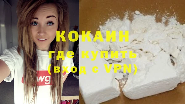 молекула духа Богданович