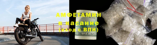 молекула духа Богданович