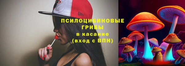 молекула духа Белокуриха