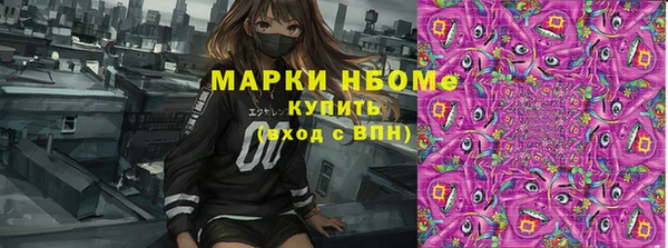 молекула духа Богданович