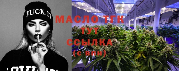 гидра Тавда
