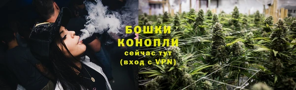 гидра Тавда