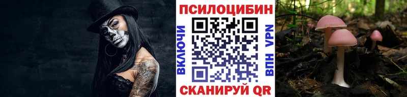 где купить   Гусев  Галлюциногенные грибы Cubensis 